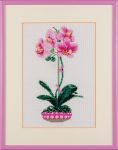 Набор для вышивания крестом «Розовая орхидея» (1162) 19,5х30см фото