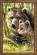 Набор для вышивки крестом «Медведица с медвежонком» (1438) фото