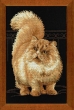 Набор для вышивания крестом «Персидский кот» (1152) 26х38см фото